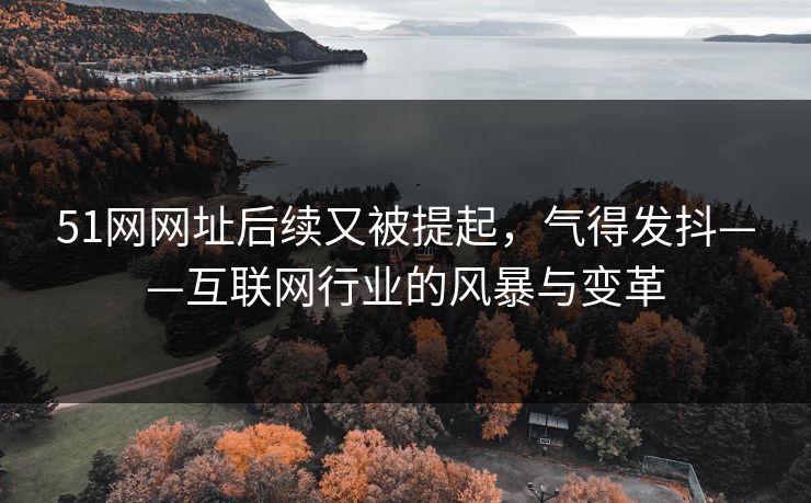51网网址后续又被提起，气得发抖——互联网行业的风暴与变革