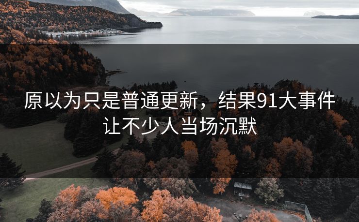 原以为只是普通更新，结果91大事件让不少人当场沉默
