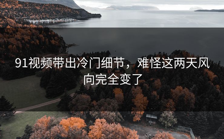 91视频带出冷门细节，难怪这两天风向完全变了