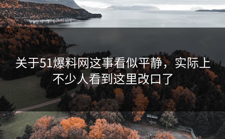 关于51爆料网这事看似平静，实际上不少人看到这里改口了