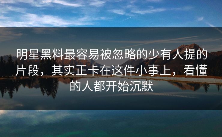 明星黑料最容易被忽略的少有人提的片段，其实正卡在这件小事上，看懂的人都开始沉默