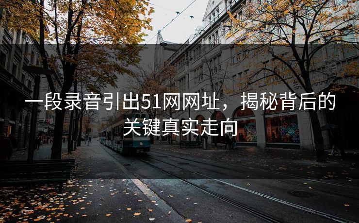 一段录音引出51网网址，揭秘背后的关键真实走向