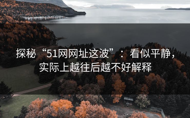 探秘“51网网址这波”：看似平静，实际上越往后越不好解释