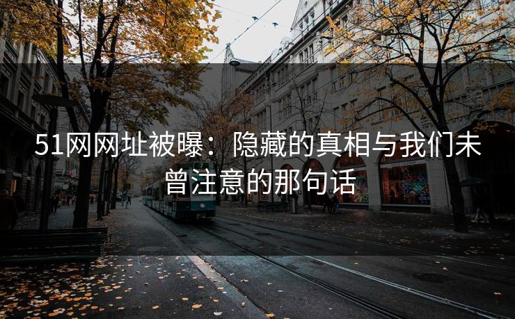 51网网址被曝：隐藏的真相与我们未曾注意的那句话