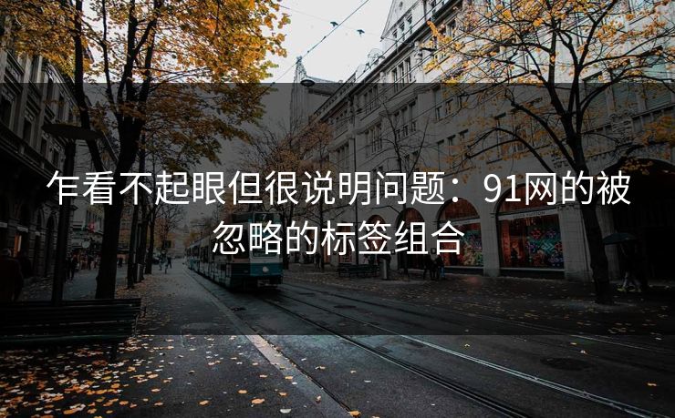 乍看不起眼但很说明问题：91网的被忽略的标签组合