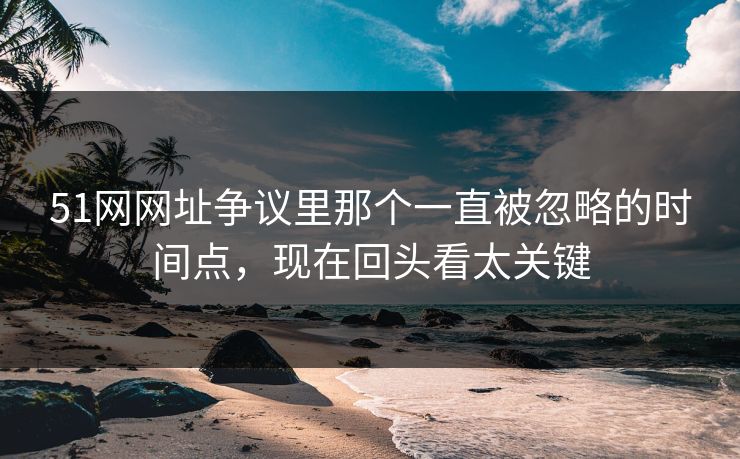 51网网址争议里那个一直被忽略的时间点，现在回头看太关键