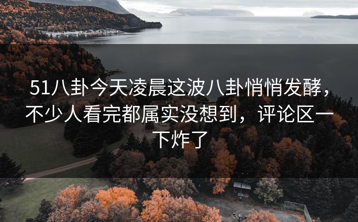 51八卦今天凌晨这波八卦悄悄发酵，不少人看完都属实没想到，评论区一下炸了